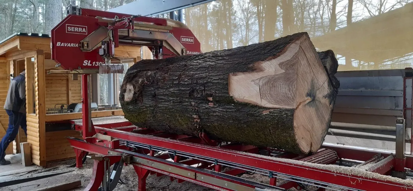 EIn Baumstamm wird zersägt